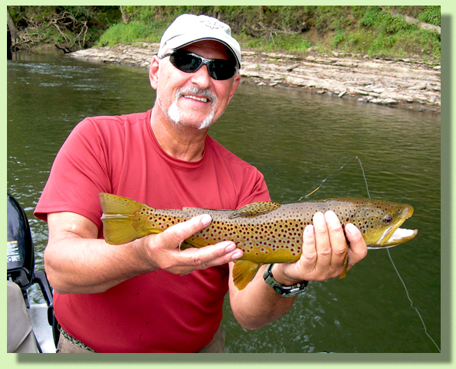 Trophy Brown Trout Guided Fly Fishing In Tennessee