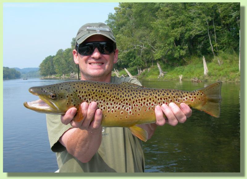 Trophy Brown Trout In Tennessee Clinch Holston Hiwassee Cumberland