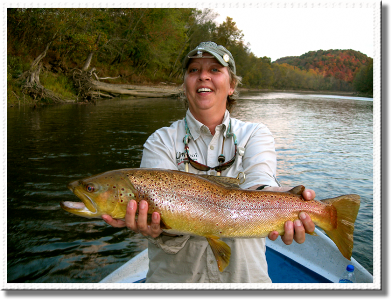 Trophy Brown Trout caught with the Fly Fishing Guides of Rocky Top Anglers
